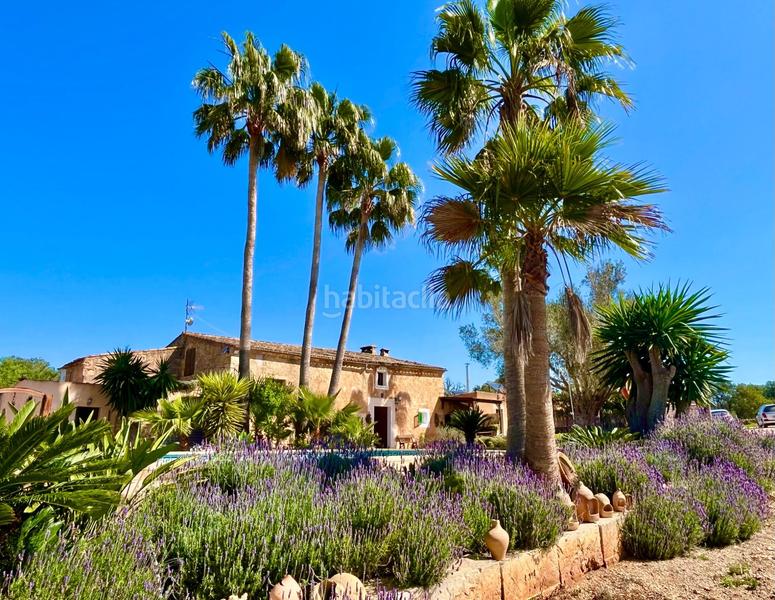 Foto 4e618f8d-40c9-4232-b4a6-14a43e364034. Rent country house with heating parking pool in S´Horta - Cas Concos des Cavaller - Es Carritxó Felanitx