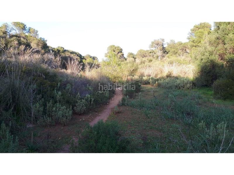 Foto 0cfda2b1-5177-4ef2-963c-a761d1786031. Finca rústica a Santanyí poble Santanyí