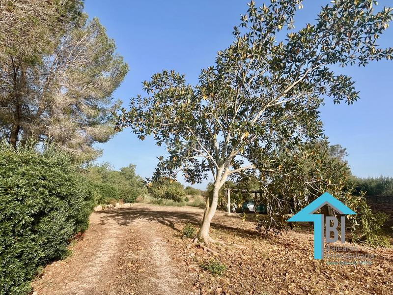 Foto ce7cf4ca-ce87-4798-8d8c-e42b20089474. Casa con riscaldamento parcheggio piscina in Llucmajor interior Llucmajor