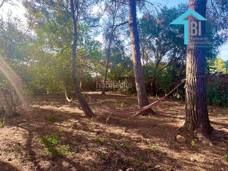 Foto da76c621-8f05-43d9-9b93-50decd6ad4bb. Casa con riscaldamento parcheggio piscina in Llucmajor interior Llucmajor