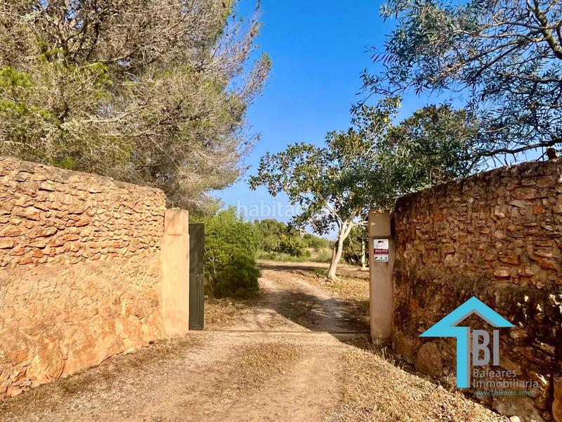 Foto dc46a5cf-9222-419c-beb6-53b6ab8f6d7a. Casa con riscaldamento parcheggio piscina in Llucmajor interior Llucmajor