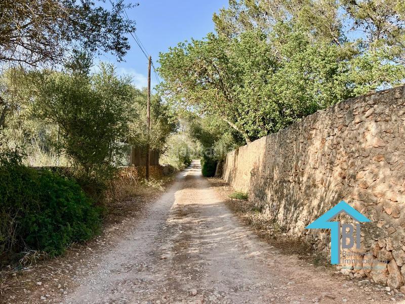 Foto e1336c95-72ba-44db-a044-72470b37d6c8. Casa con riscaldamento parcheggio piscina in Llucmajor interior Llucmajor