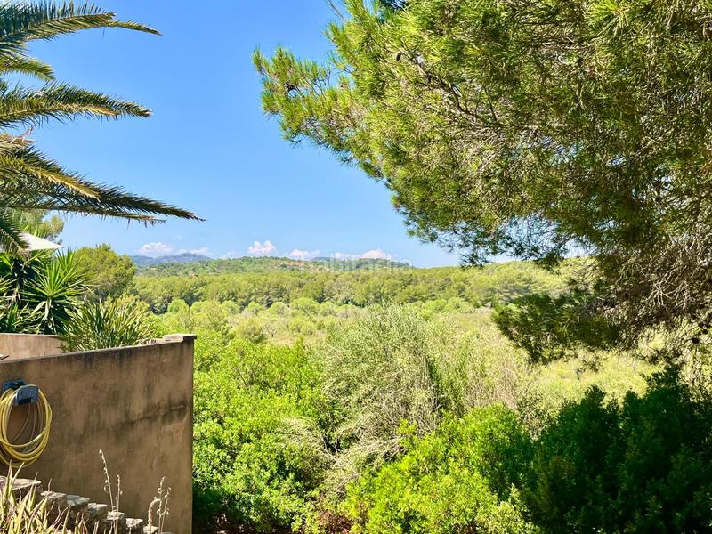 Foto eb6a7c24-e4e0-4362-bdc2-2f1576bdf4d9. Chalet with parking in Manacor centre Manacor