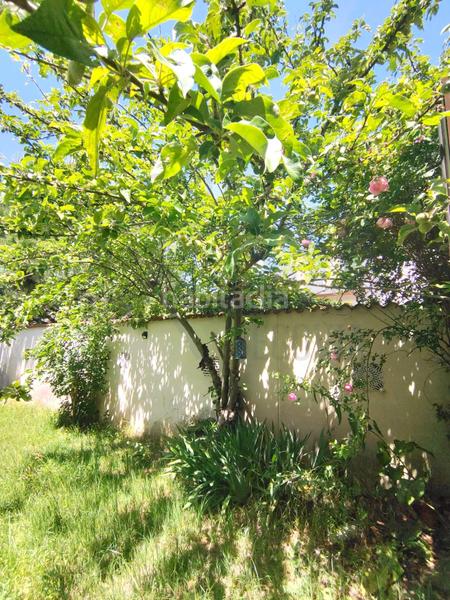 Foto ce0f5b07-371c-4143-bd9d-0ff251cdcab5. Chalet gran chalet independiente con jardín, segovia en Sanchonuño