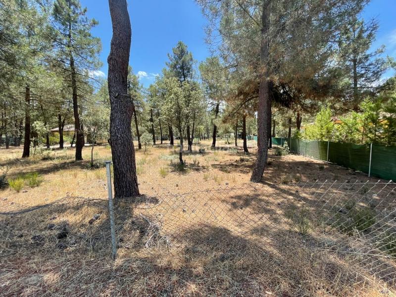 Foto 5e91bb5f-c42d-4672-9b2f-df417718946f. Residential plot in Marugán