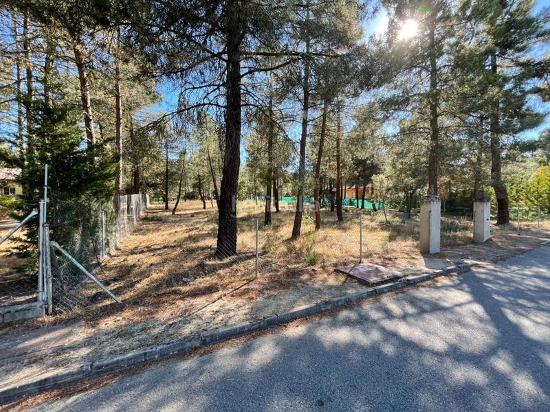 Foto ae113577-2cb8-4a9e-b261-a7b7e685a538. Residential plot in Marugán