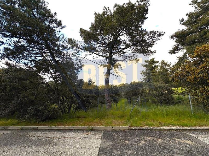 Foto 00112e52-04c3-45f7-8627-2b2a80d1a646. Residential plot in Marugán