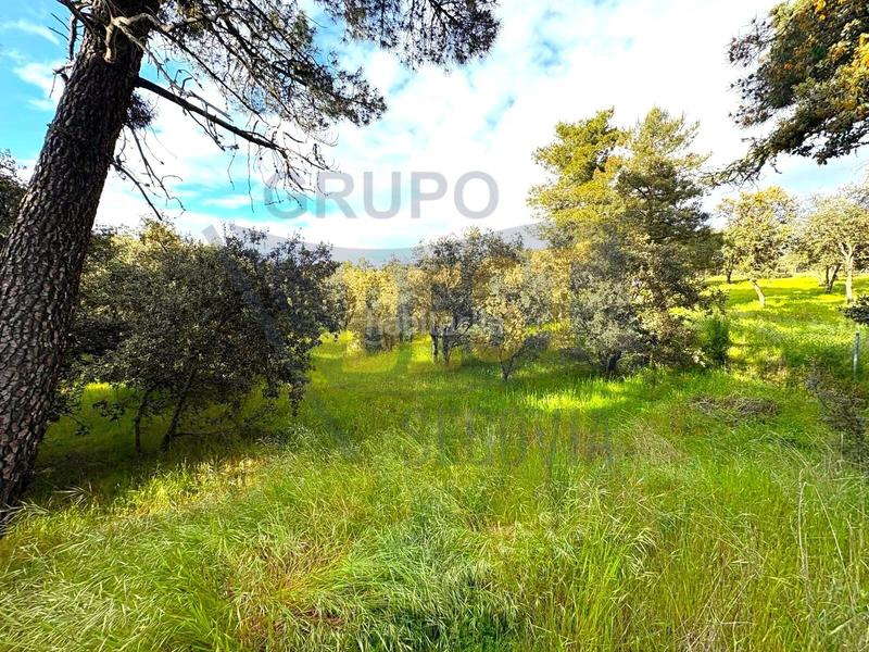 Foto 19c627d9-5e88-4d30-a4de-528f2d417d67. Residential plot in Marugán