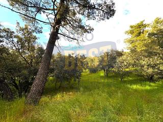 Terreny residencial a Marugán. Parcela de 2500 m, en urbanización parraces marugánsegovia
