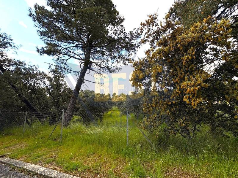 Foto af9202d8-302a-488a-89e0-4c037c11a051. Terreno residenziale in Marugán