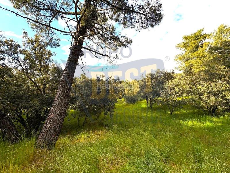 Foto e1f4131d-2d23-47ec-955d-a71107057aa2. Residential plot in Marugán