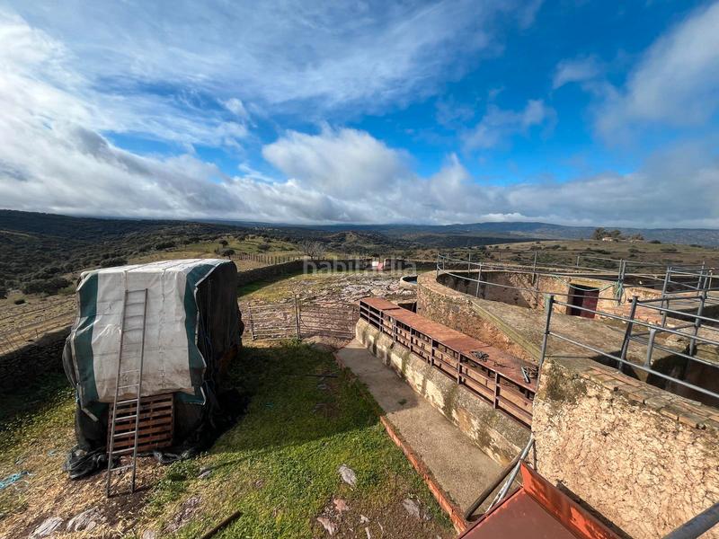 Foto 25ca69e2-936e-420d-a11f-72d96f8482ef. Finca rústica a Carolina (La)