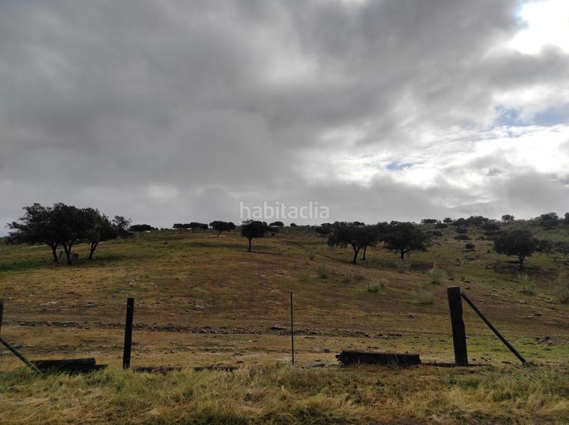 Foto 5a4ebfec-4bf1-4c99-b9ba-cd451c318b71. Finca rústica a Carolina (La)