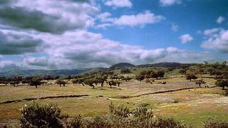 Finca rústica a Carolina (La). Finca ganadera zona despeñaperros
