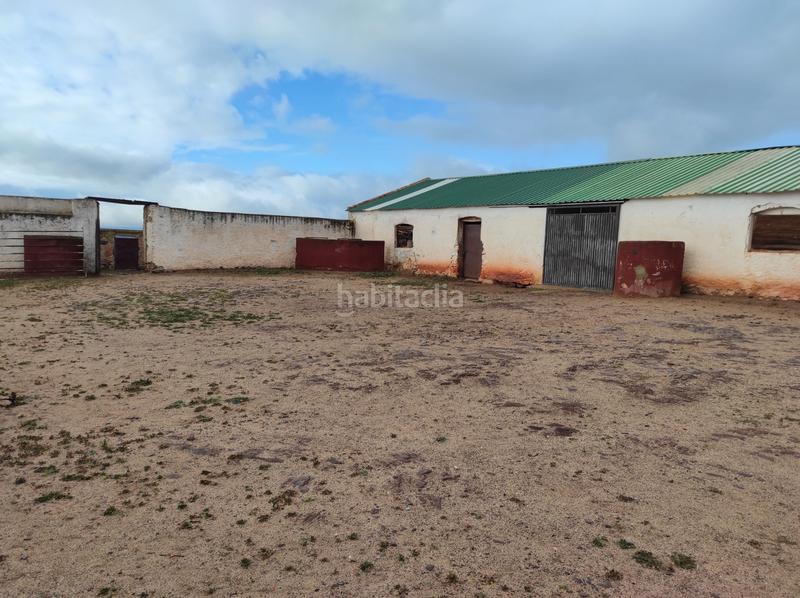 Foto 884ef4bc-61bf-4f73-9a03-78c316365cf1. Finca rústica a Carolina (La)