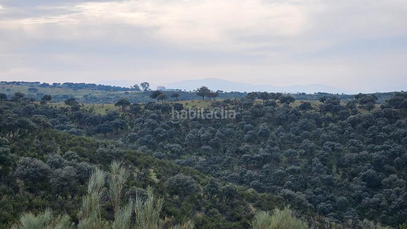 Foto d523ab7b-6f7c-4ea1-b181-8cb7d0cc327c. Finca rústica a Carolina (La)