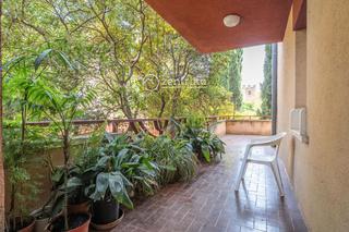 Chalet  Ar s rafael. Chalet independiente en la selva del camp.