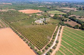 Maison  Hortes velles. Finca exclusiva con casa, molino, casa apartamento y nave