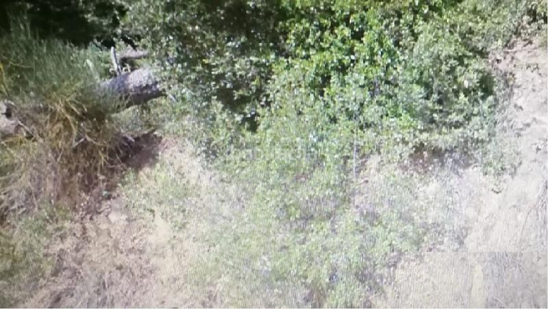 Foto b0bf9fe6-b4c4-4038-b876-11d47cca48e8. Residential plot in El Racó-Sant Feliu del Racó Castellar del Vallès