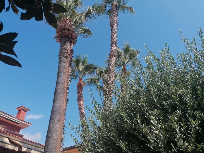 Foto b61a149e-027f-487b-be5d-ddcaf604b744. Xalet amb calefacció aparcament a Els Masos - Els Garrofers Coma-ruga