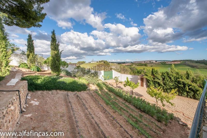 Foto 63c8bb06-21a9-455e-b8e1-55201df7169b. Xalet amb aparcament piscina a Villaescusa de Haro
