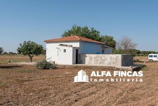 Xalet a Huertas nuevas. Parcela rústica con casa en venta en san clemente