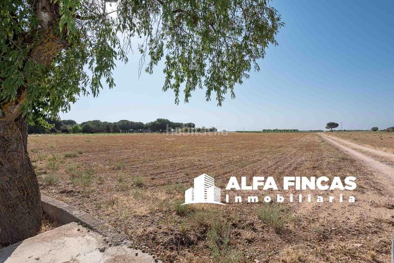 Foto 93e447a2-667b-4cd4-9e8e-48ee57890ad5. Chalet dans huertas nuevas dans San Clemente