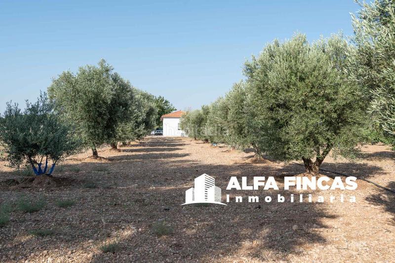 Foto f82dc0b8-c309-48e9-bd80-0160c6644e61. Chalet dans huertas nuevas dans San Clemente