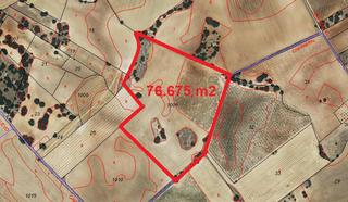 Finca rústica a 15. Parcela rústica en venta en san clemente