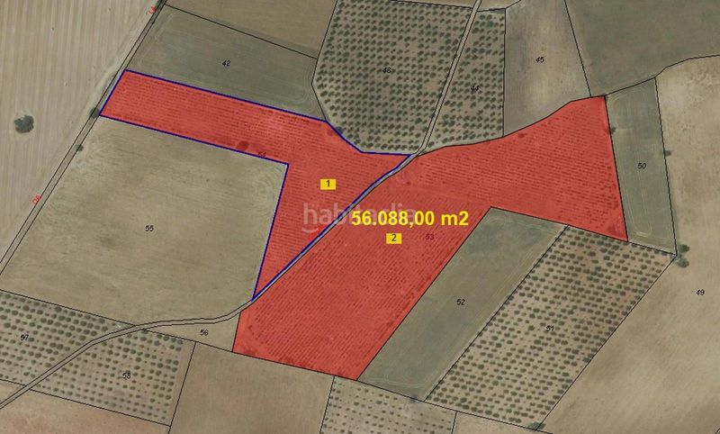 Foto 48344a84-229d-4be5-bdbd-fdcc4a78c104. Finca rústica a 62 a Villarrobledo