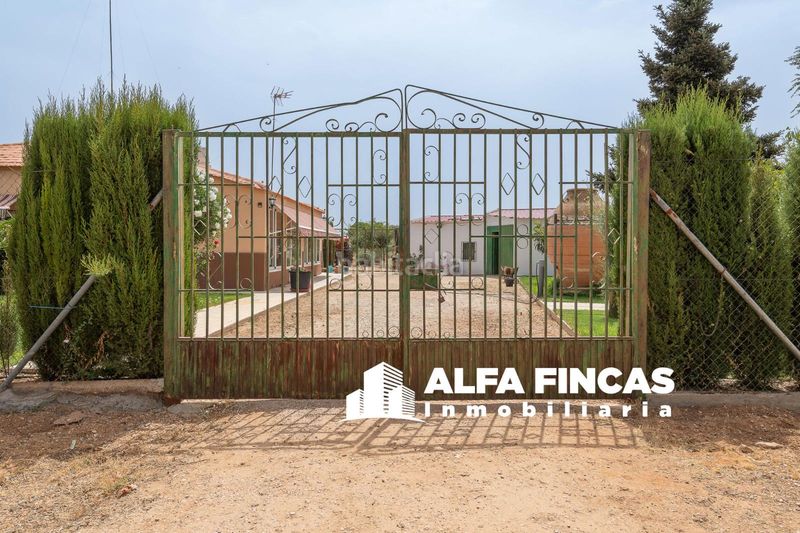Foto c79c2cd7-6ad4-4e5e-825b-f75b69722f67. Xalet a 7 a Provencio (El)