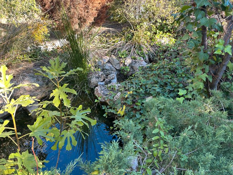 Foto 0f264224-8325-457e-8486-d77350efafc6. Chalet en paraje la virgen 20 casa o chalet independiente en venta en paraje la virgen, 20 en Salinas