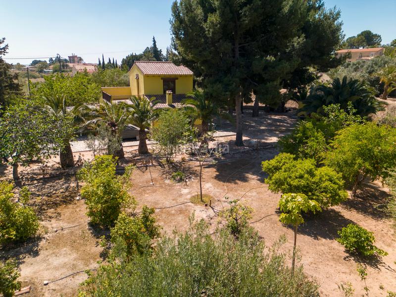 Foto 67d7146a-6fee-4d9e-9665-85fc0f43052a. Chalet en Novelda