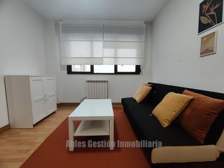 Alquiler Piso en Gregorio marañón 29. Piso en alquiler en vallobín, 1 dormitorio.