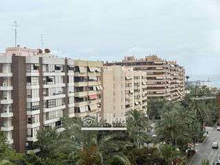Lloguer Pis  Oscar espla. Amplia y luminosa vivienda en alquiler en avenida óscar esplá
