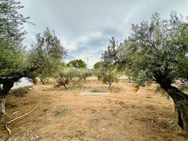 Foto b5434588-cb36-46f9-be23-b2514b3faff1. Maison avec chauffage parking piscine dans Haygon-Universidad Sant Vicent del Raspeig