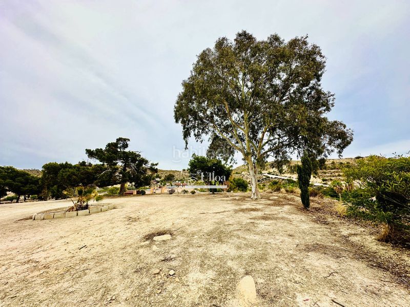 Foto 949c1798-fc8f-4893-9567-dfacf6324616. Maison dans Pueblo Acantilado-Lanuza Campello (el)