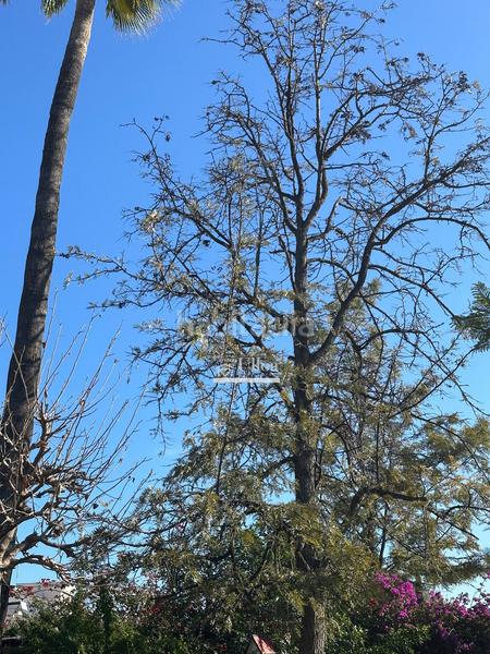 Foto 58491f10-0df2-4043-bbeb-9a4d92235038. Xalet amb calefacció aparcament piscina a La Font-Mezquitas San Juan de Alicante