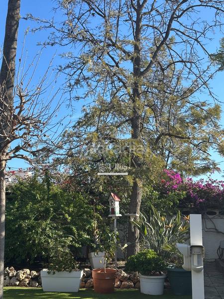 Foto b887ed8a-b4d4-49e1-9a32-48a4d248fac8. Xalet amb calefacció aparcament piscina a La Font-Mezquitas San Juan de Alicante