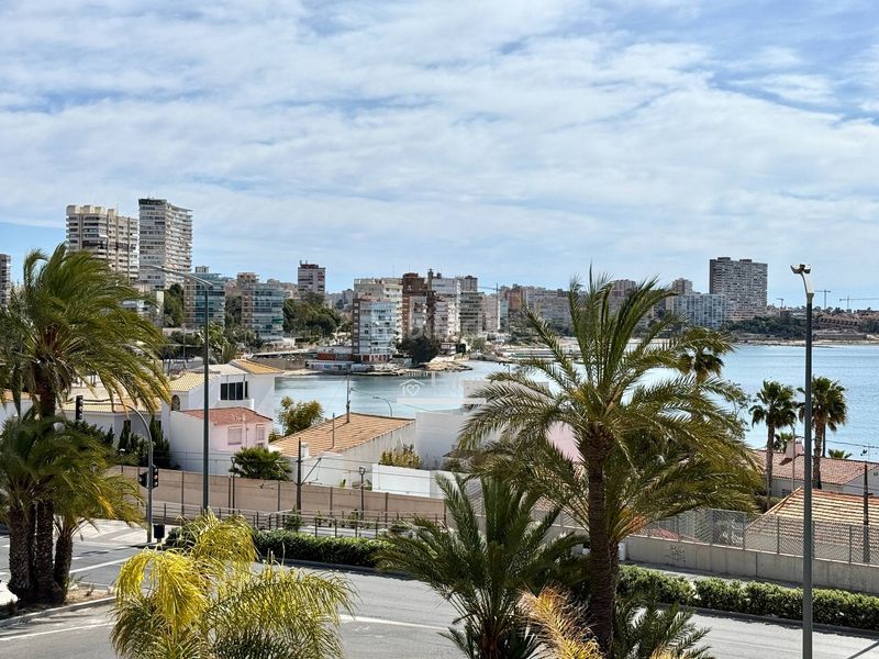 Foto 498b1511-3d7d-48d1-9bfc-233fd3df32c5. Casa amb calefacció aparcament piscina a Albufereta Alicante