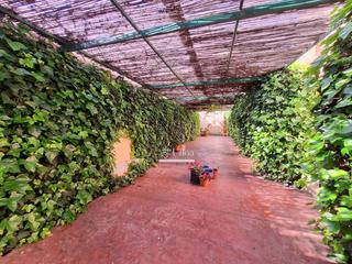 Apartament a Montañar-El Arenal. Apartamento esquinero totalmente renovado y luminoso en el coraz