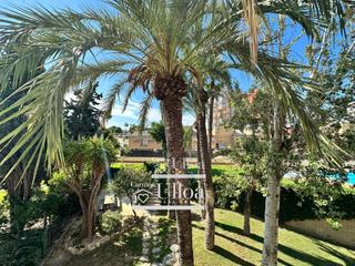 Location Appartement  Calle del faro. Fabuloso apartamento renovado para alquilar larga duración cabo