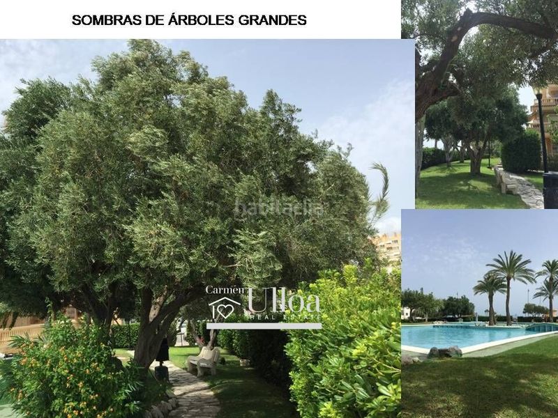 Foto b7597b0e-f5b5-4a93-be25-d7f709d85ec9. Pis amb aparcament piscina a Campello Playa Campello (el)