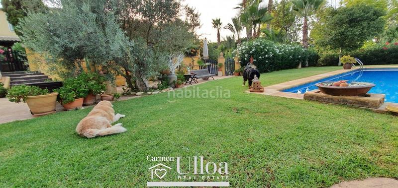 Foto 8d2ad992-169b-4e78-82a8-89402e6270bb. Haus mit parking pool in Vistahermosa Alicante