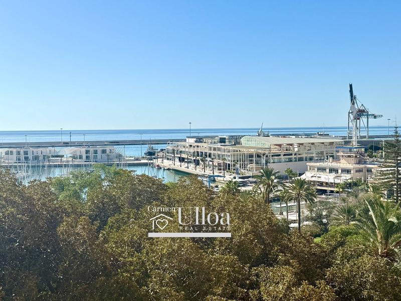Foto d7a740ad-9baf-4248-89b4-0ea01ddb0009. Piso exclusivo piso de 345 m en pleno centro con terraza y vistas despejadas en Alicante