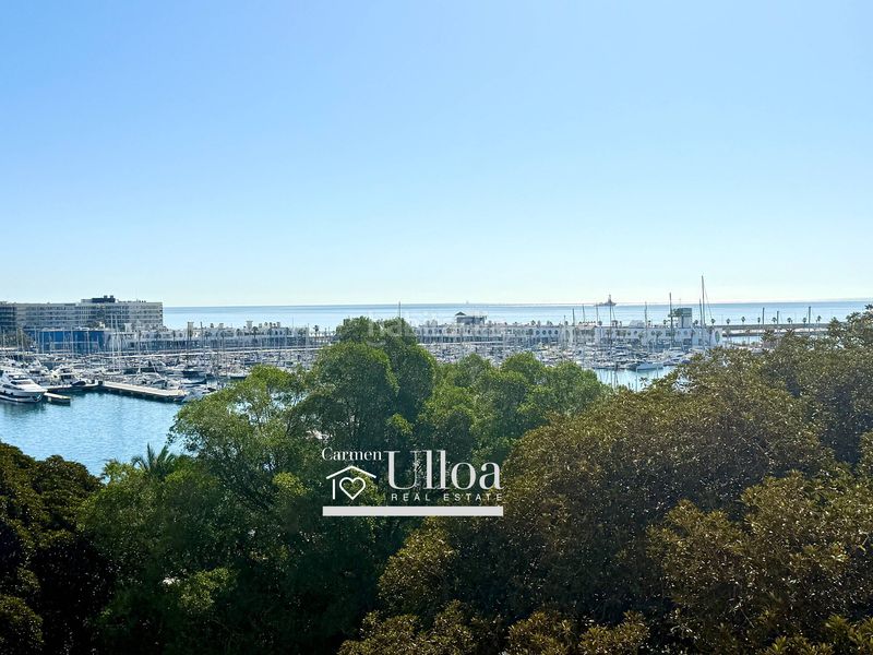 Foto b44ec55d-039e-4e17-a86b-90ee0d97e531. Pis amb aparcament a Ensanche-Diputación Alicante