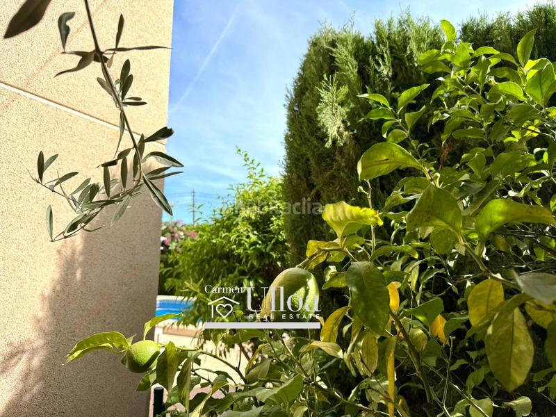 Foto 8acd097a-2d5b-4ac5-9ca0-1af94ad74bdc. Xalet amb calefacció aparcament piscina a La Huerta Mutxamel