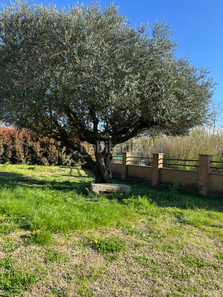 Foto 6fa35b6f-b038-450a-950d-5ce3214db295. Casa en Sant Gregori