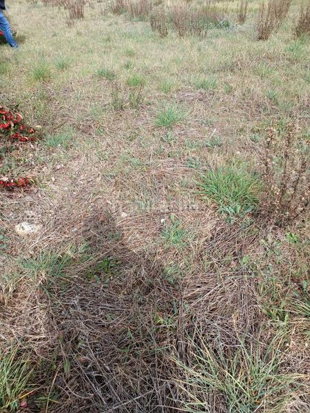 Foto 0b98b455-53f5-49eb-9438-eb300d9adbe6. Wohngrundstück in Sant Celoni