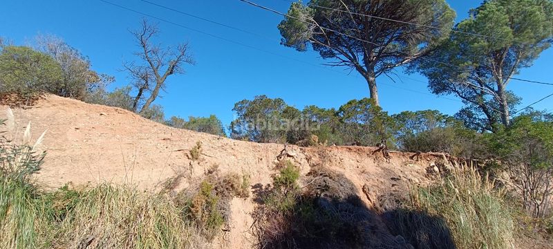 Foto 3a9a0ae5-8f64-4b99-9859-dafd354eecf3. Terreny residencial a Riells i Viabrea
